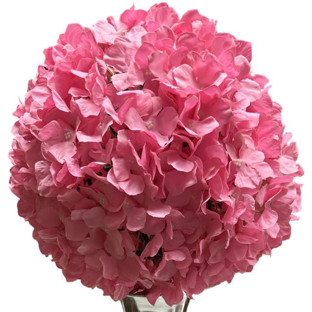 Rental store for Pink Hydrangea Ball in Tulsa OK