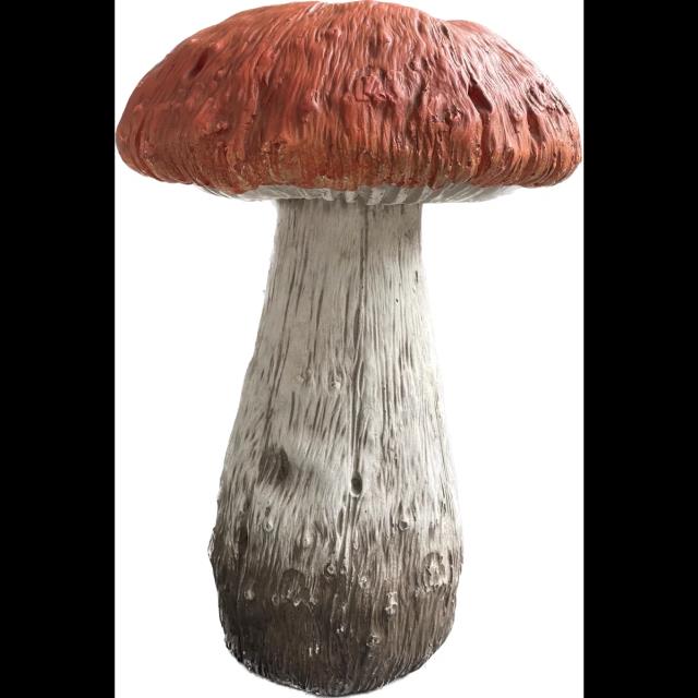 Where to find Mushroom, red top 15 tall in Tulsa