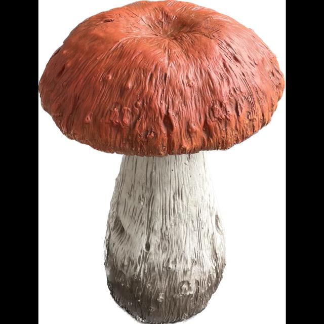 Where to find Mushroom, red top 15 tall in Tulsa