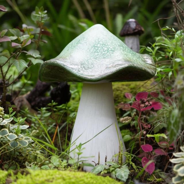 Where to find Mushroom, green top 16 tall in Tulsa
