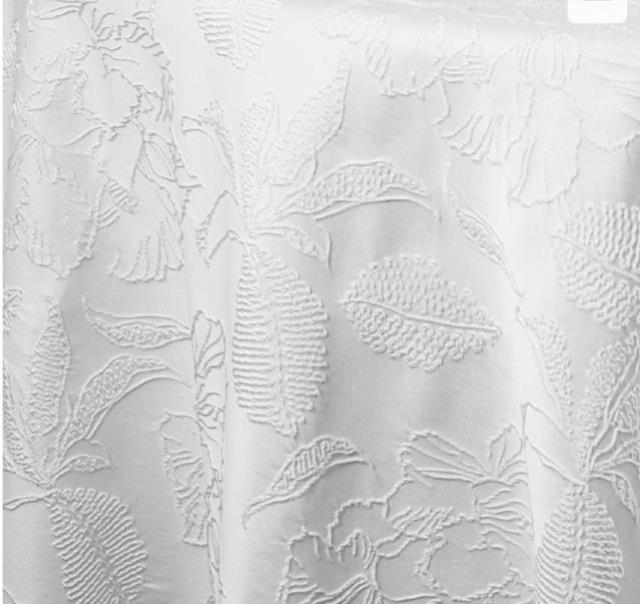 Rental store for Olivia Premium Woven, Bone in Tulsa OK