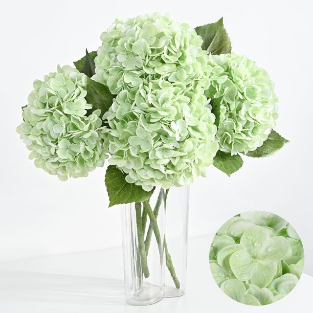 Rental store for Real Touch  Light Green Hydrangea in Tulsa OK