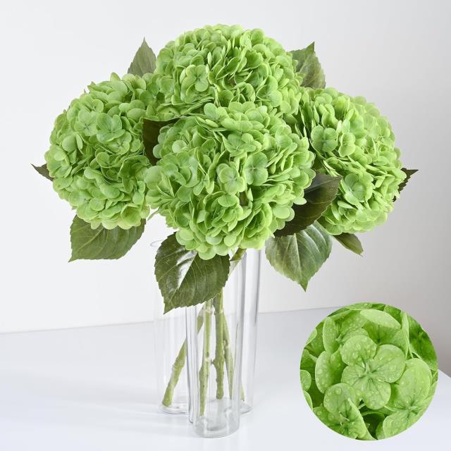Rental store for Real Touch  Vivid Green Hydrangea in Tulsa OK