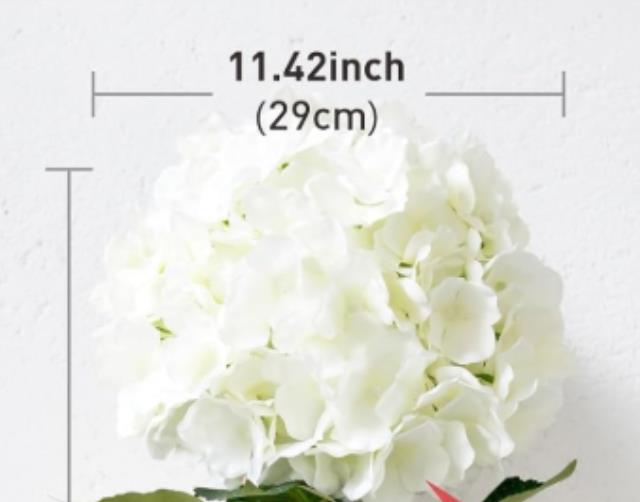 Rental store for Oversized White Hydrangea Bloom in Tulsa OK
