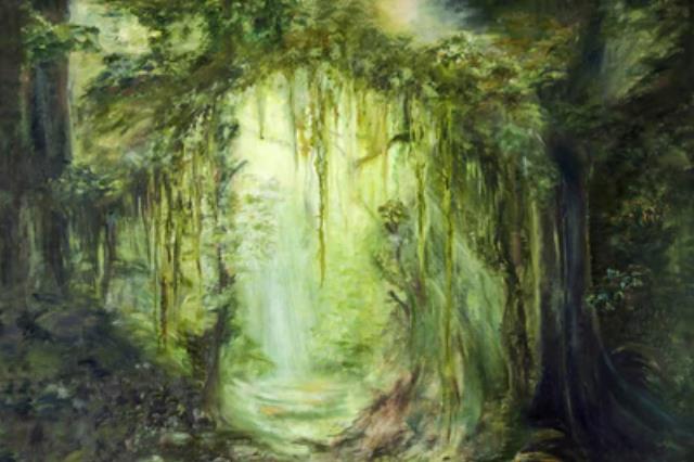 Rental store for DT-Fabric Backdrop, Enchanted Forest in Tulsa OK