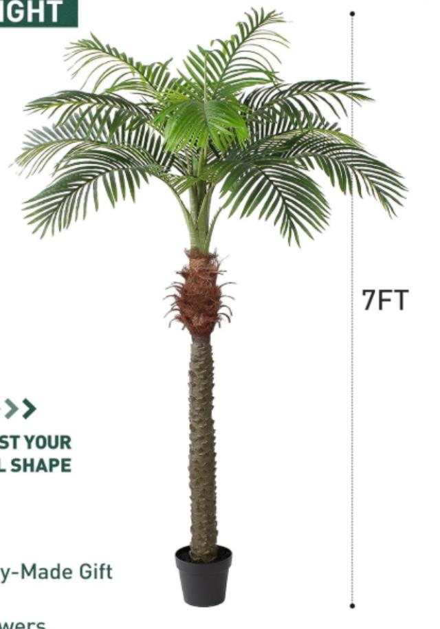 Where to find DT Phoenix Palm Tree, 7ft in Tulsa