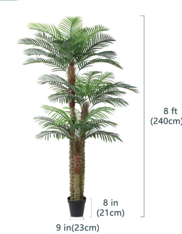 Where to find DT 3 Trunk PalmTree, 8ft in Tulsa