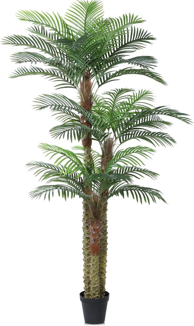 Rental store for DT 3 Trunk PalmTree, 8ft in Tulsa OK