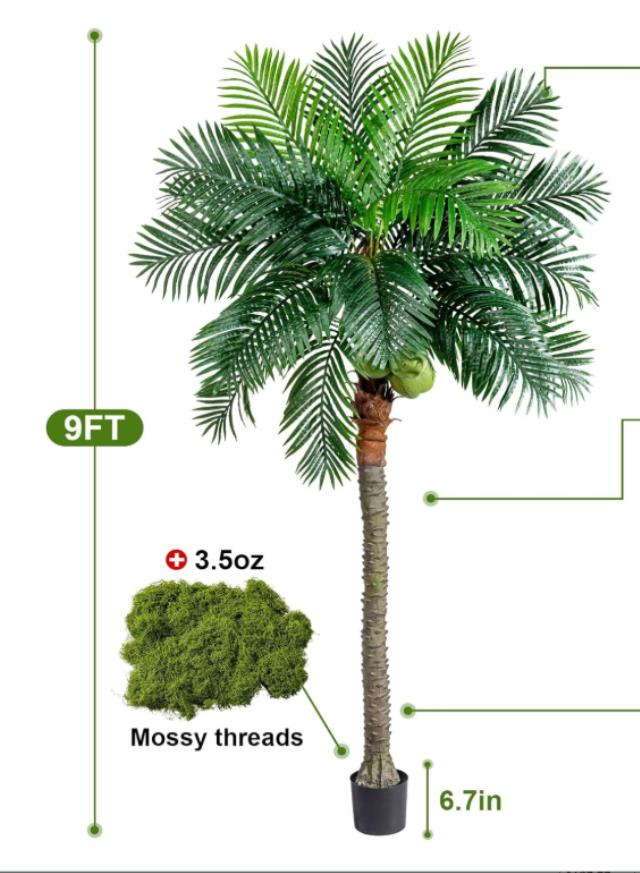 Where to find DT Phoenix PalmTree, 9 ft in Tulsa