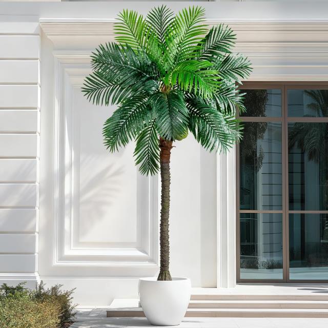 Rental store for DT Phoenix PalmTree, 9 ft in Tulsa OK