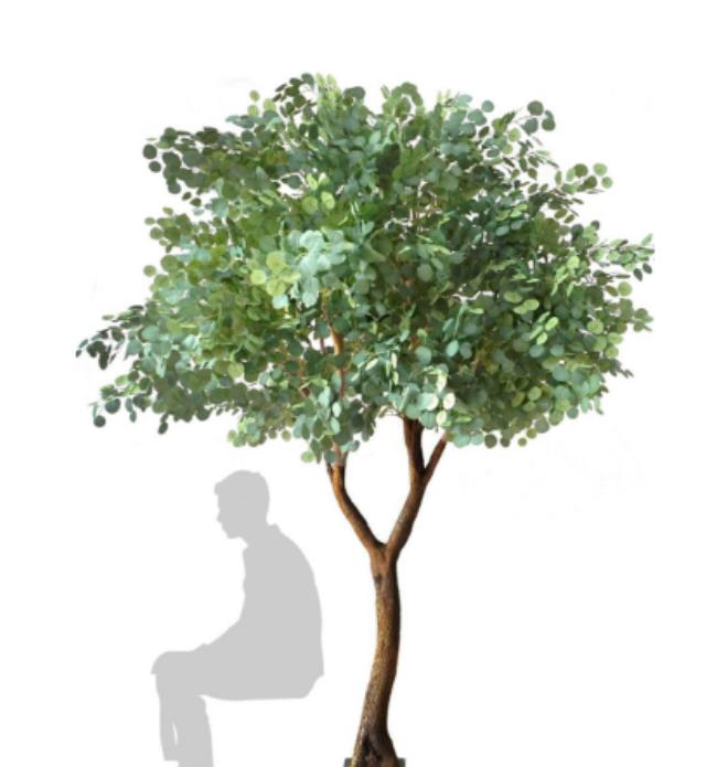 Rental store for DT_Freya Light Green Eucalyptus Tree,9 in Tulsa OK