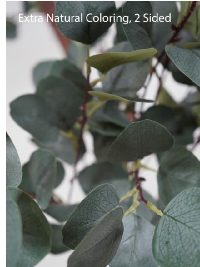 Where to find DT_Lifesize Ficus Tree, 10.5 tall in Tulsa