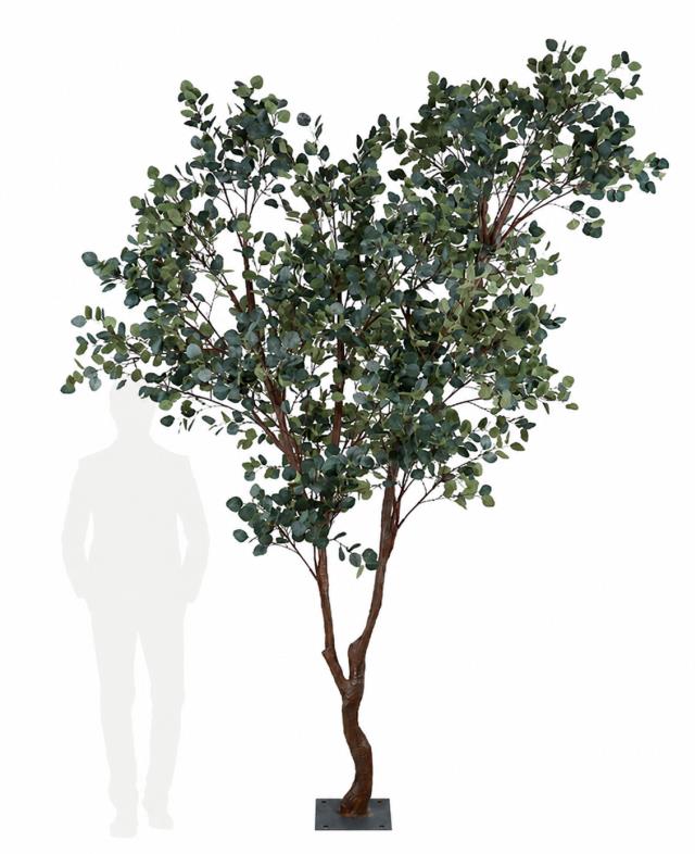 Rental store for DT_Lifesize Ficus Tree, 10.5  tall in Tulsa OK