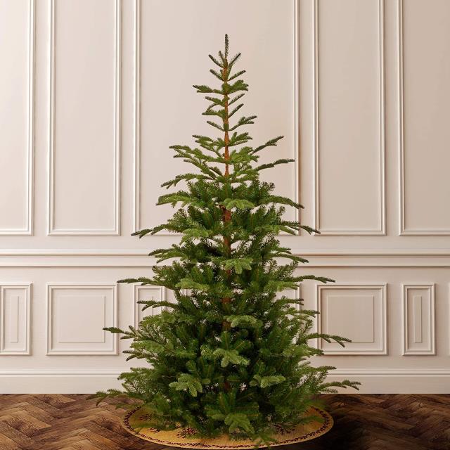 Where to find Christmas Tree w lights, 8 in Tulsa