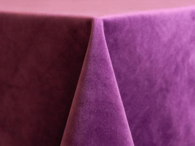 Rental store for 120 rd Grape Velvet in Tulsa OK