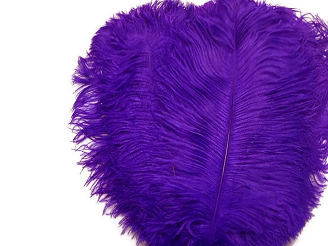 Rental store for Purple Ostrich Plumes  w metal pick in Tulsa OK