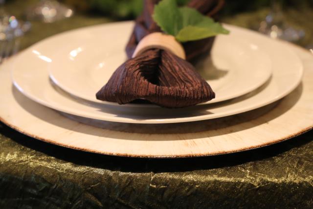 Where to find Moss Iridescent Crush Linens in Tulsa