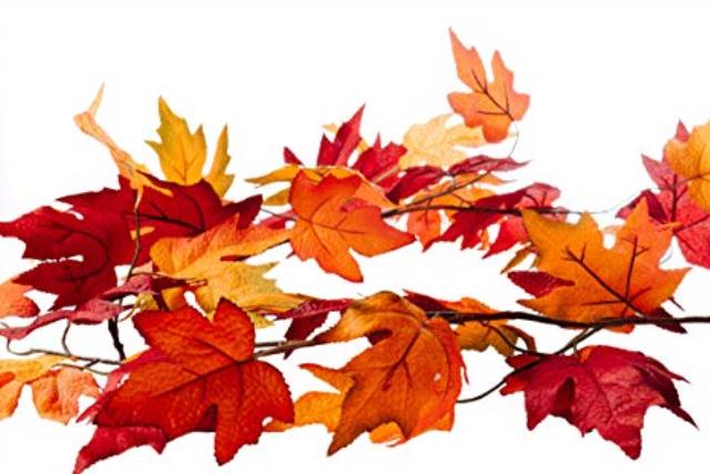 Where to find Fall Leaves Garland, 6ft long in Tulsa