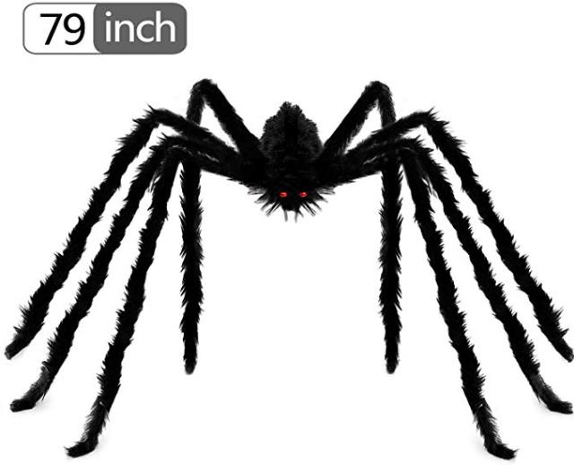 Where to find Giant Spider Prop. approx 6-6.6 ft in Tulsa