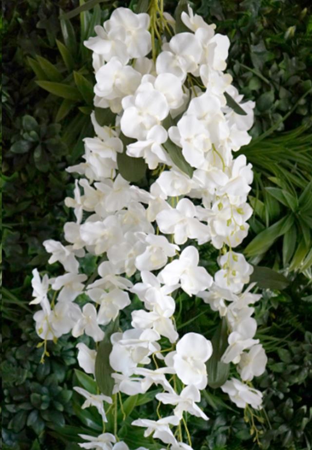 Rental store for Oversized White Orchid Spray in Tulsa OK