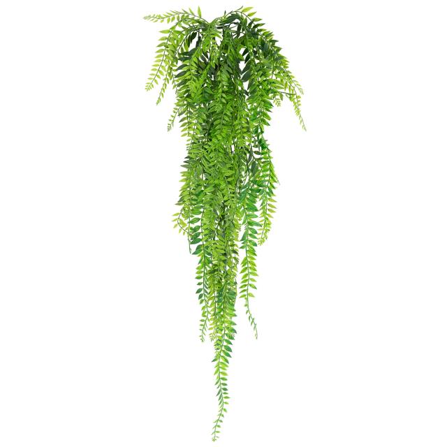 Rental store for Hanging Fern Greenery, 40  long in Tulsa OK