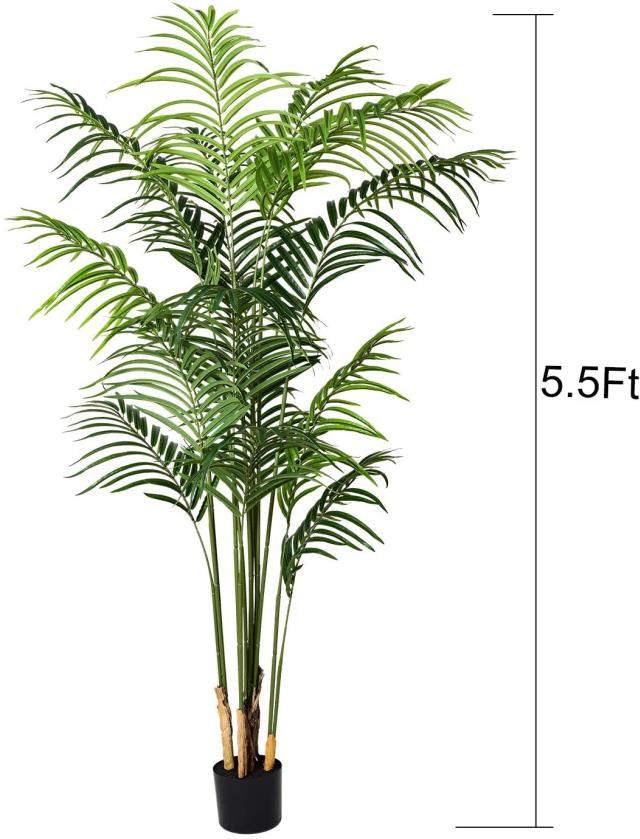 Where to find Areca Palm Tree, 5ft in Tulsa