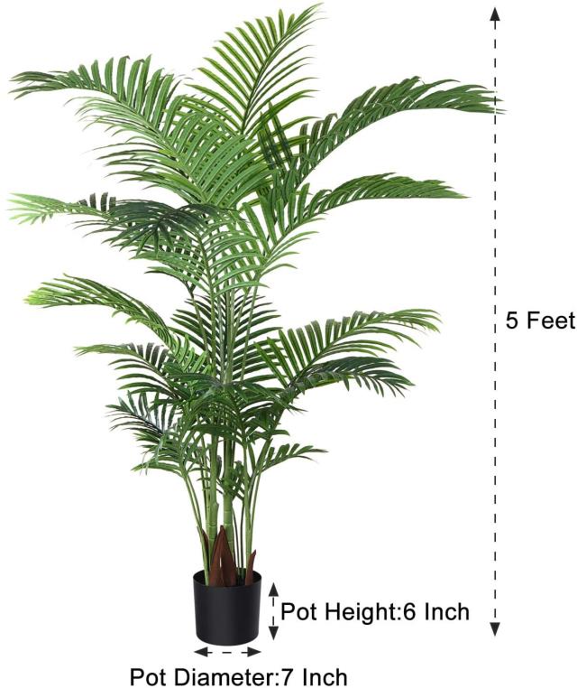 Where to find Areca Palm Tree, 5.5ft in Tulsa