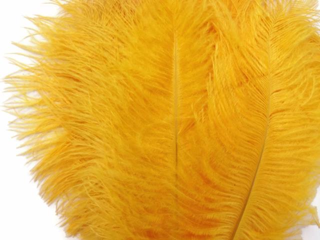 Rental store for Yellow Gold Ostrich Plume  w metal pick in Tulsa OK