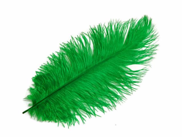 Rental store for Green Ostrich Plume  w metal pick in Tulsa OK