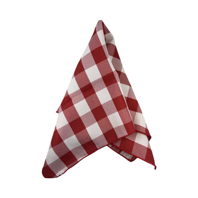 Where to find Red Check Dinner Napkin in Tulsa