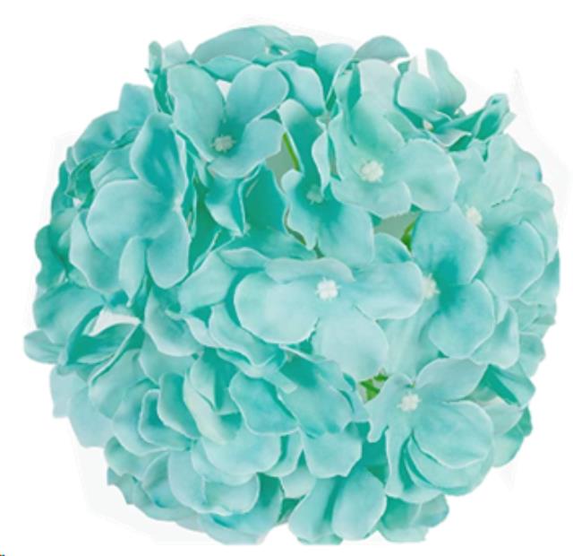 Rental store for Aqua Hydrangea Bloom in Tulsa OK