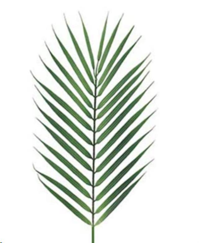 Rental store for Palm Leaf for centerpiece in Tulsa OK