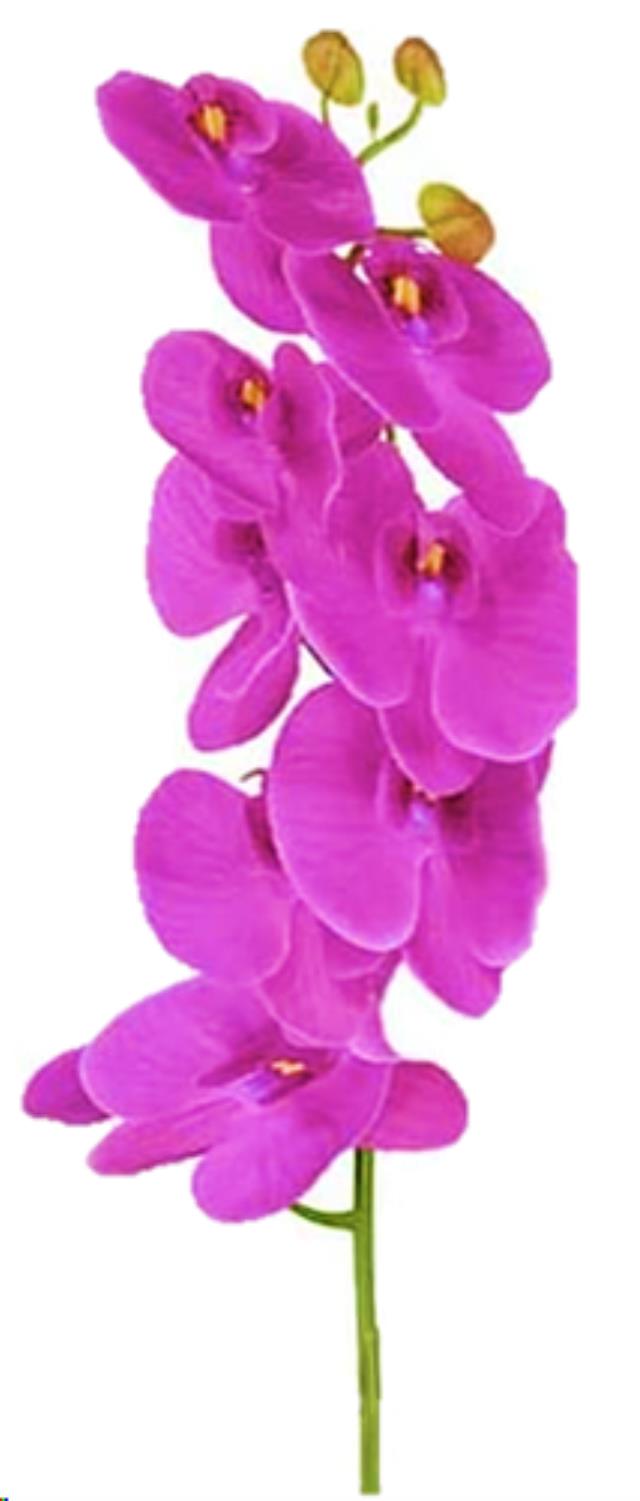Rental store for Faux Orchid Stem, Fuchsia in Tulsa OK