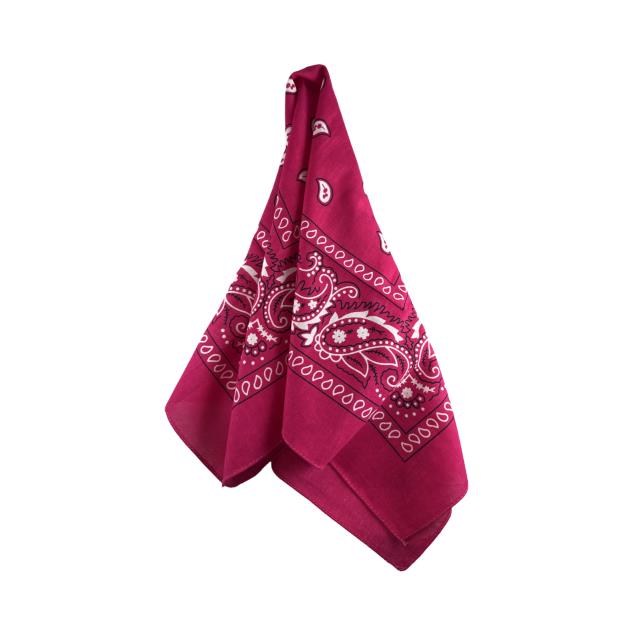 Where to find Hot Pink Bandana Napkins in Tulsa