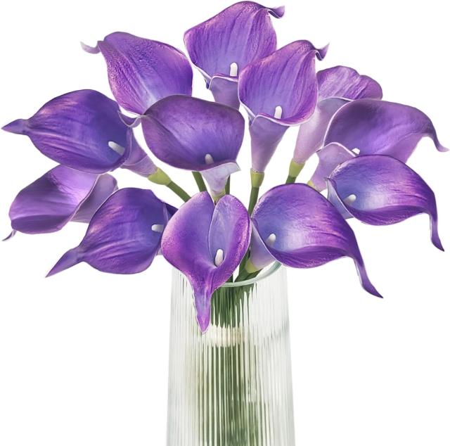 Rental store for Purple Calla Lily in Tulsa OK