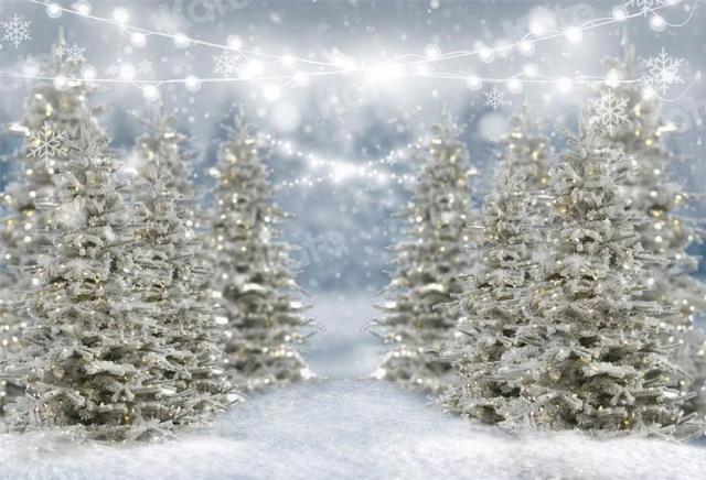 Rental store for Fabric Backdrop Panel,Snow Covered Tree in Tulsa OK
